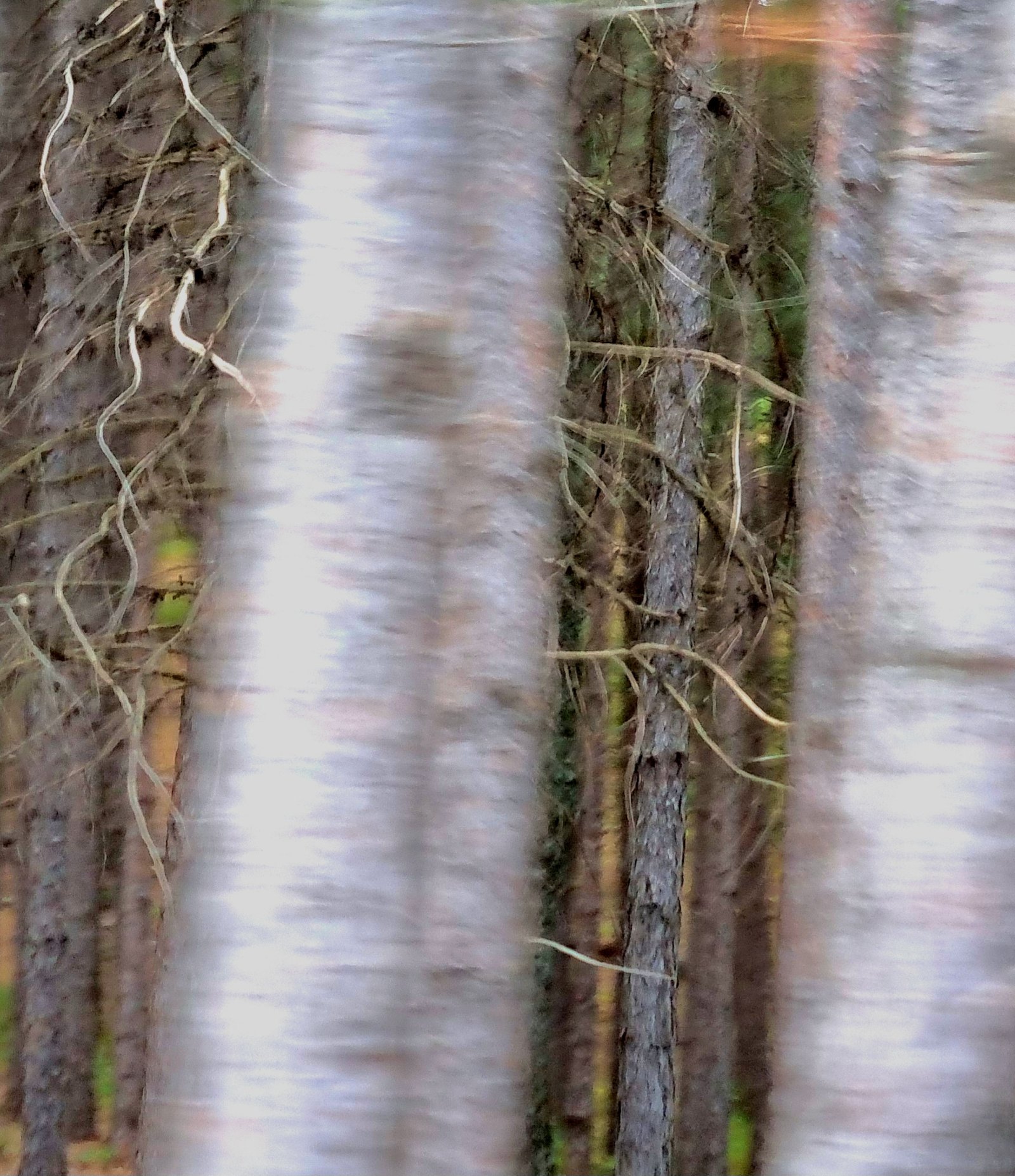 20250804 105733(0)(4)